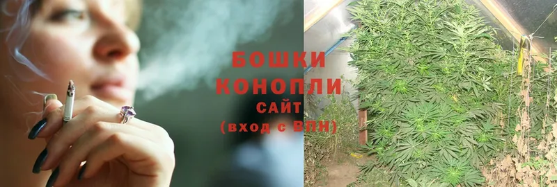 купить наркотик  Славянск-на-Кубани  блэк спрут как войти  Конопля LSD WEED 